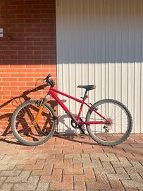 Bici mountain bike