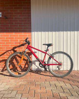 Bici mountain bike