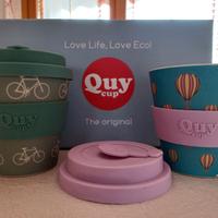 TAZZE QUY CUP
