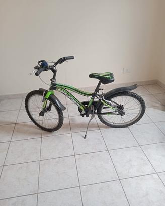 Bici per bambino 20 BREVA THUNDER