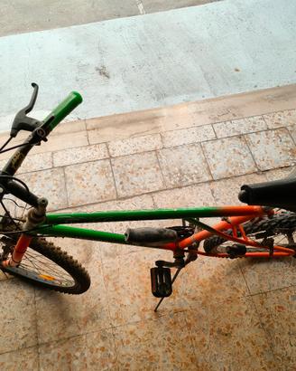 Mountain bike 
