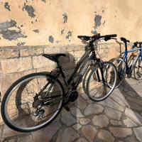 Bici donna taglia M