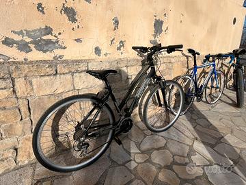 Bici donna taglia M