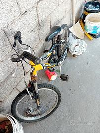 Bicicletta 