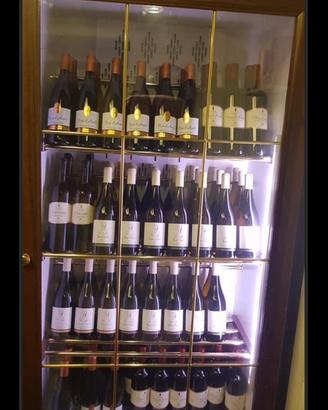 Vetrina refrigerata professionale per vini € 1000