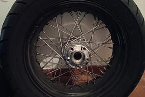 parafango e cerchio posteriori Harley Davidson