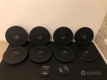 Set Bumper Lacertosus Training