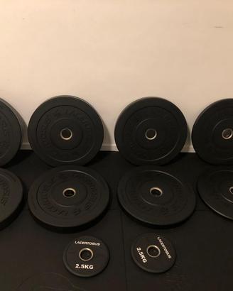 Set Bumper Lacertosus Training