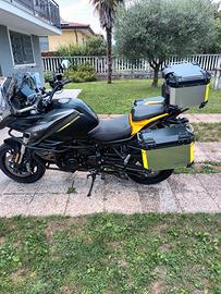 QJ Motor SRT 800 - 2025