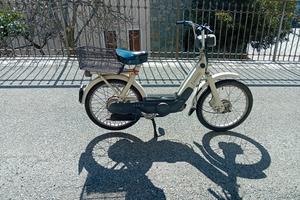 motorino ciao
