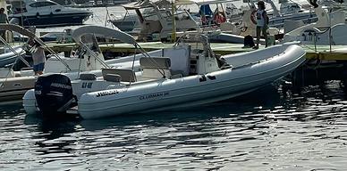 Clubman 26 + Mercury Verado 250
