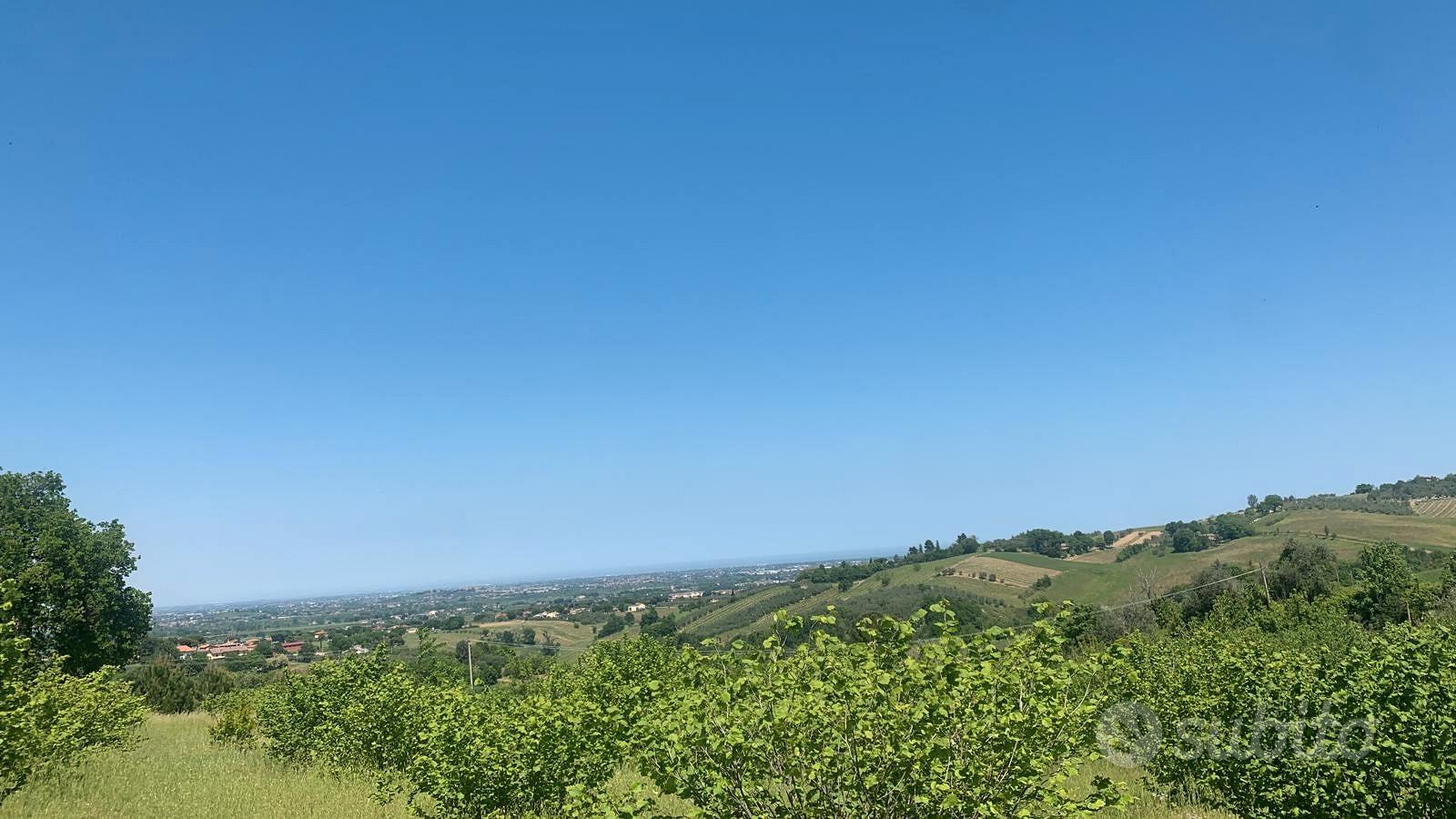 Terreno micronizzato tartufo 6400mq - Vista 3