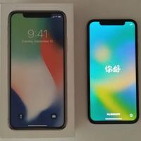 Apple iPhone X - 256GB - Argento (Sbloccato)