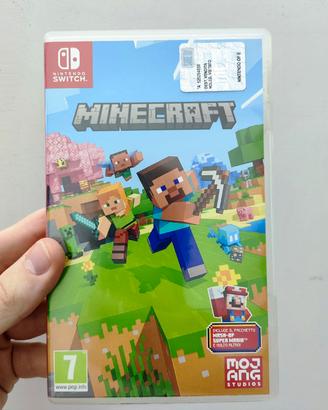 Minecraft Nintendo switch 