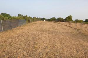 Terreno agricolo