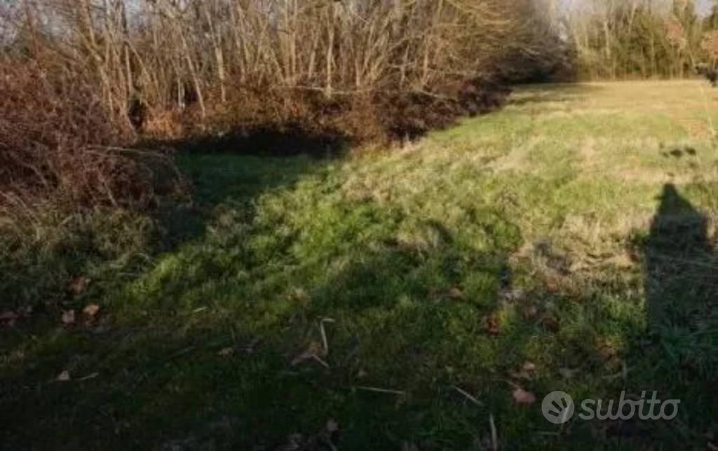 Immobile in asta di 58350 m² a Sermide e Felonica - Vista 5