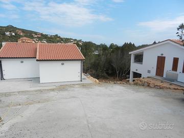 Terratetto maladroxia