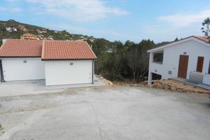 Terratetto maladroxia