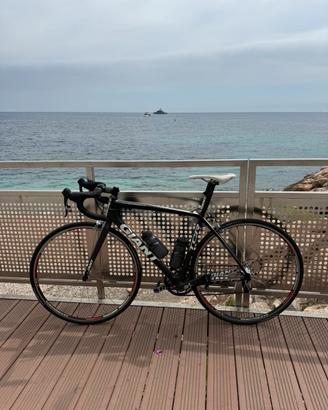 Giant tcr Advanced SL 2