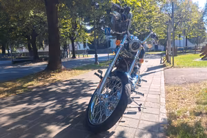 Harley davidson softail custom 14000 km