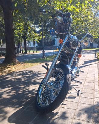 Harley davidson softail custom 14000 km