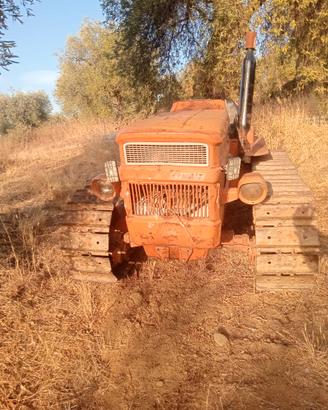 Trattrice FIAT 605 montagna