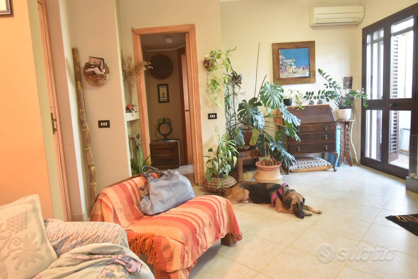 Appartamento – Monserrato, Casteddu/Cagliari - Vista 2
