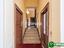 Immagine 15