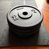 Dischi in ghisa 5kg (x4)