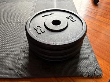 Dischi in ghisa 5kg (x4)