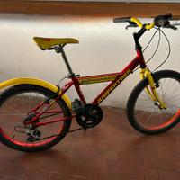 Bicicletta bambino 6-9 Anni 20”