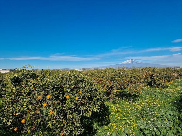 Vasto terreno c.da Jungetto