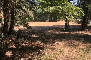 Terreno edificabile 3000 mq Aranova