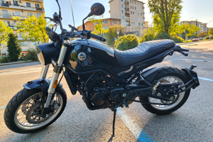 Benelli Leoncino 500 Trail 2021