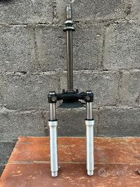 Forcelle F10 MALAGUTI