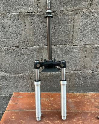 Forcelle F10 MALAGUTI