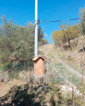 Terreno agricolo contrada Vinzeria  8.000mq