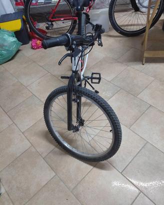 Bicicletta MTB 24