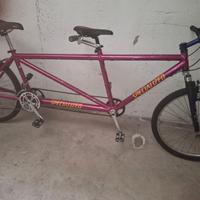 Tandem mtb Specialized deja two vintage