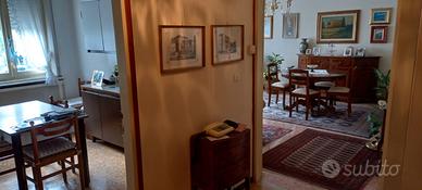 Appartamento 2 camere