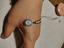 Immagine 3
