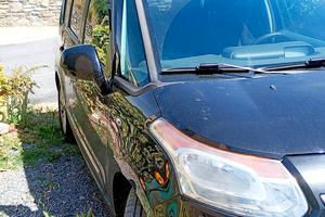 C3 Picasso perfetta