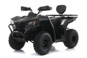 Quad CYBERROAMER 250cc