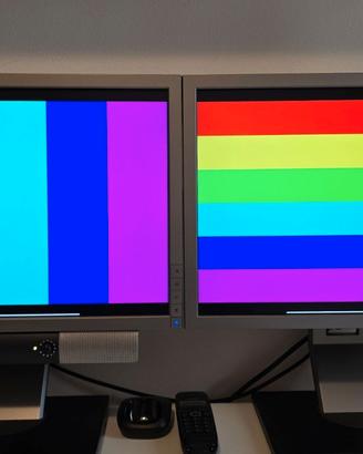 Coppia monitor DELL 19" e Soundbar 