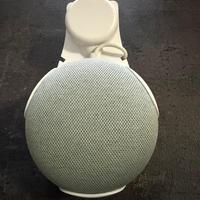 Google home