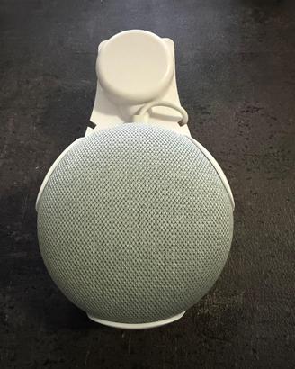 Google home