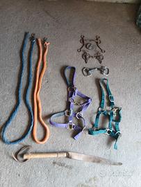 Accessori cavallo