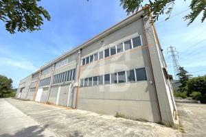 Immobile di 935 m² con 4 locali a San Dorligo dell