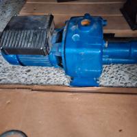 pompa acqua elettropompa speroni cam 150