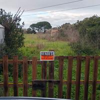 Terreno agricolo